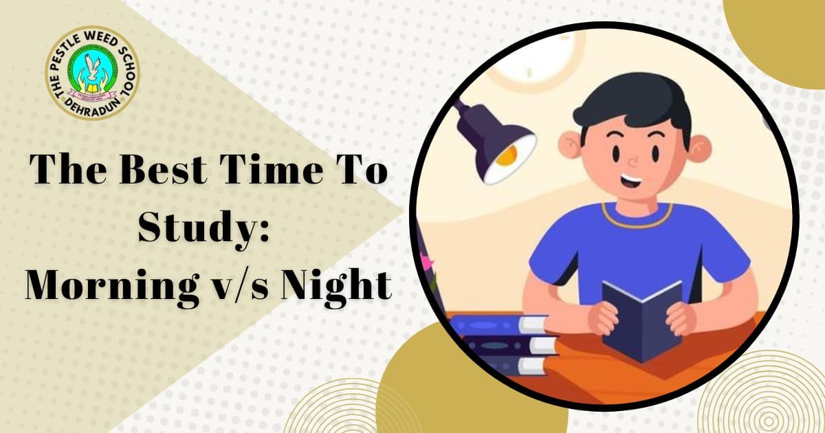 The Best Time to Study: Morning vs. Night – What Works for You?